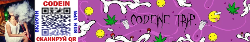 blacksprut сайт  Новороссийск  Кодеиновый сироп Lean Purple Drank 