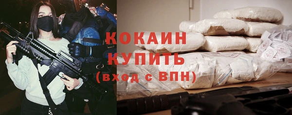 дмт Бородино