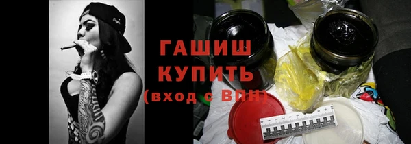 дмт Бородино