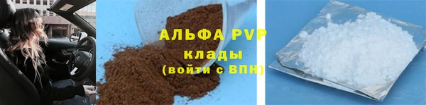 дмт Бородино