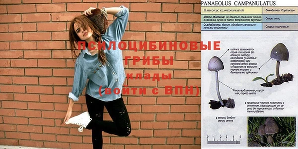 спиды Бугульма