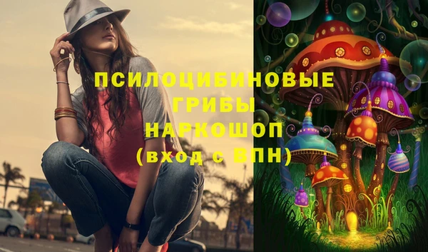 прущие крисы Верея