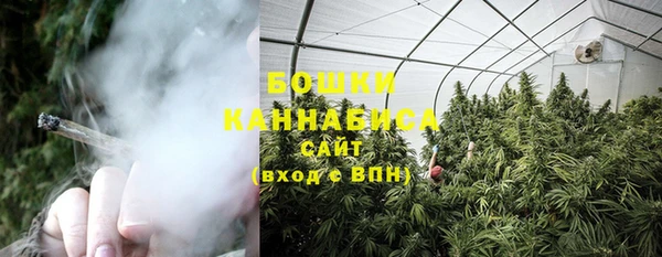 дмт Бородино